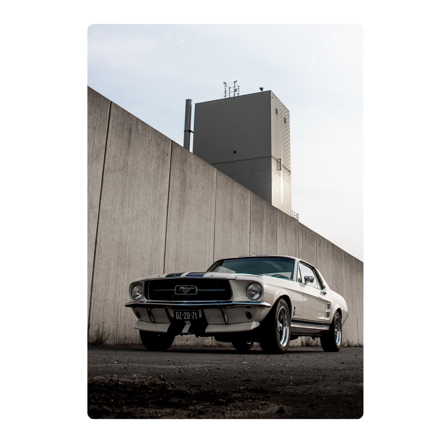 MUSTANG POSTER