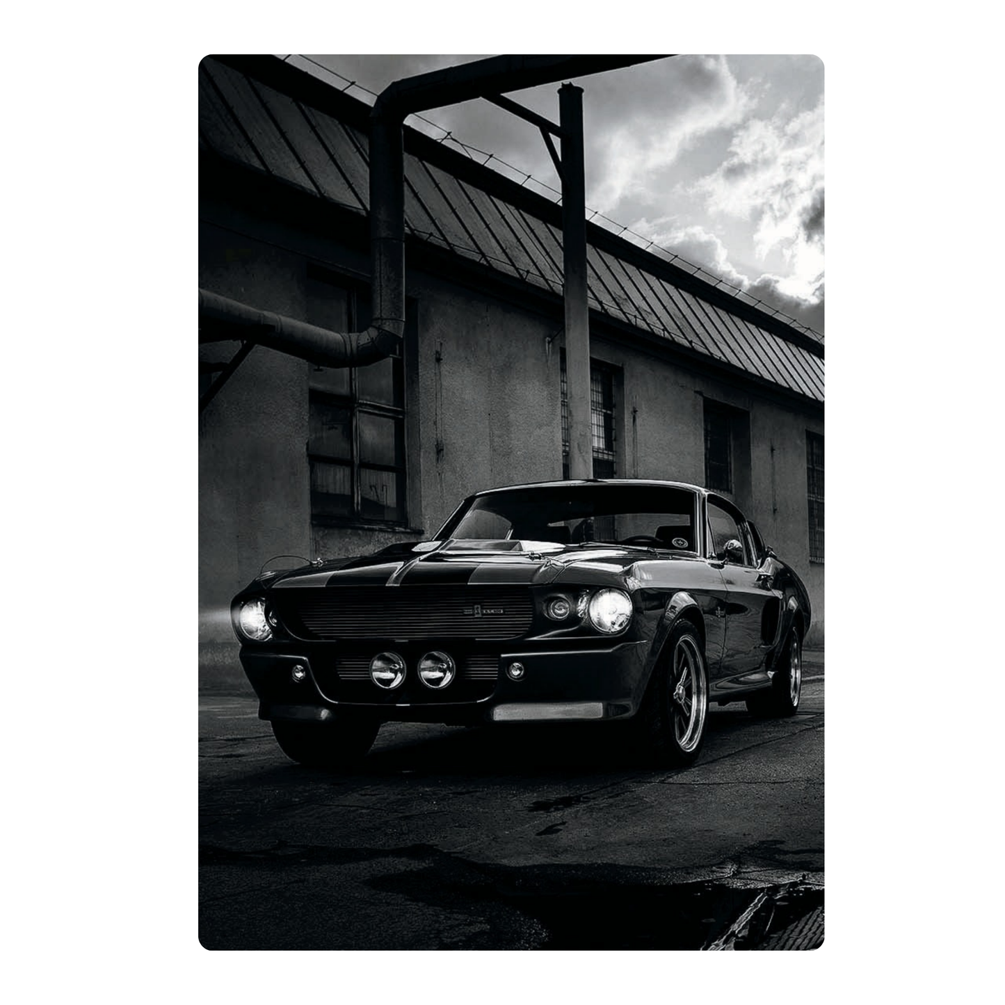 MUSTANG POSTER